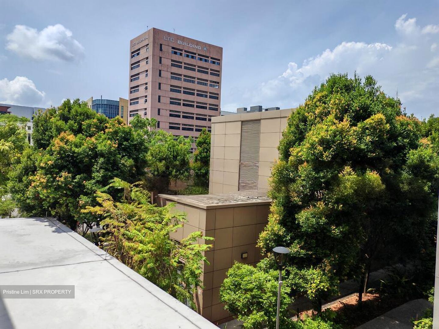 Circuit Road (D13), Shop House #469178841